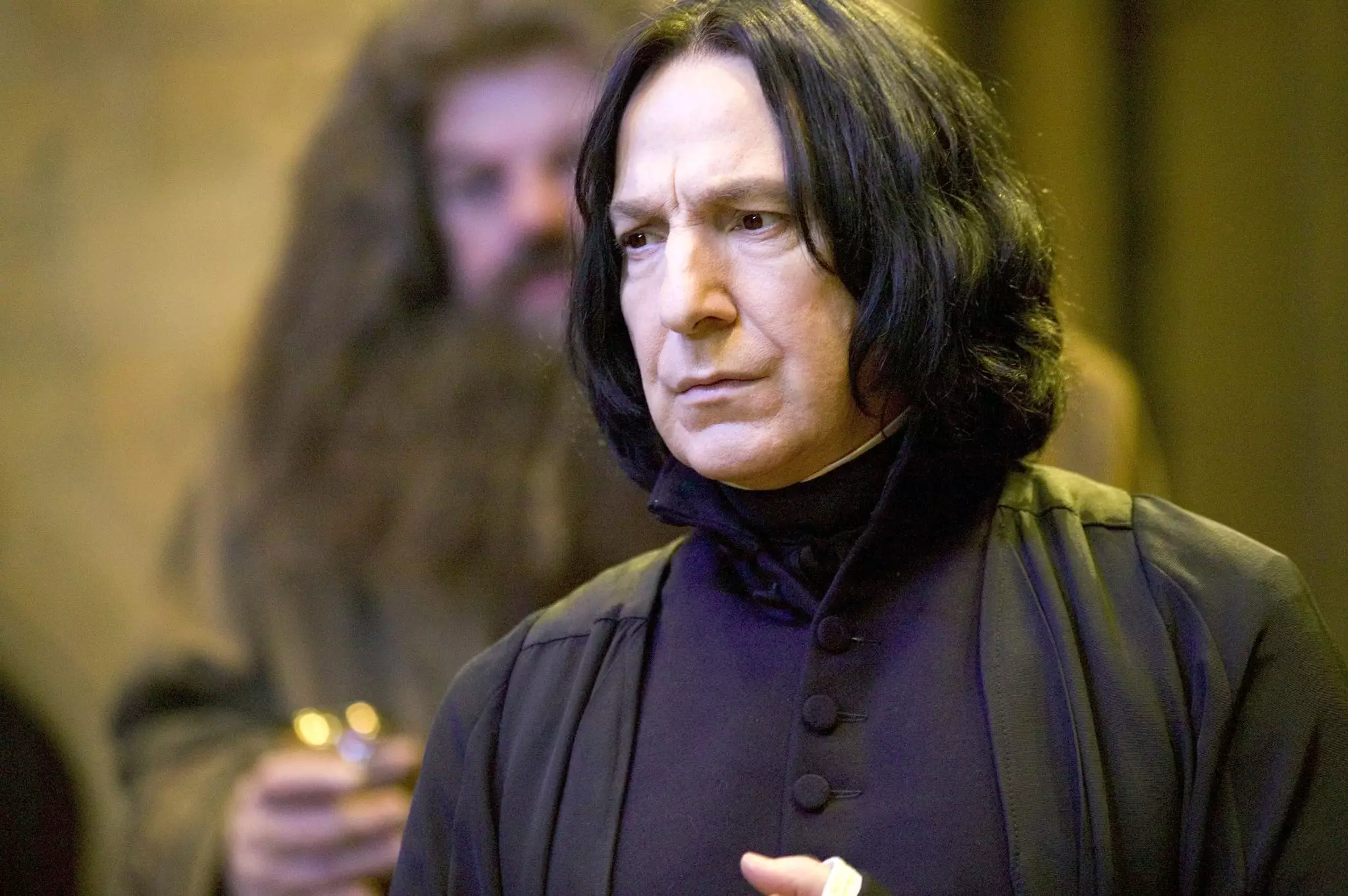 Alan Rickman played Severus Snape in Harry Potter.