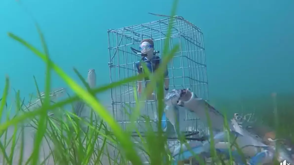 Underwater Crab Cam Reveals Just How Bonkers The Crustaceans Are 