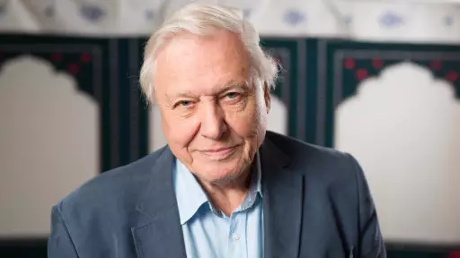 ​The BBC Has Another Huge Documentary From Sir David Attenborough Ready for 2018