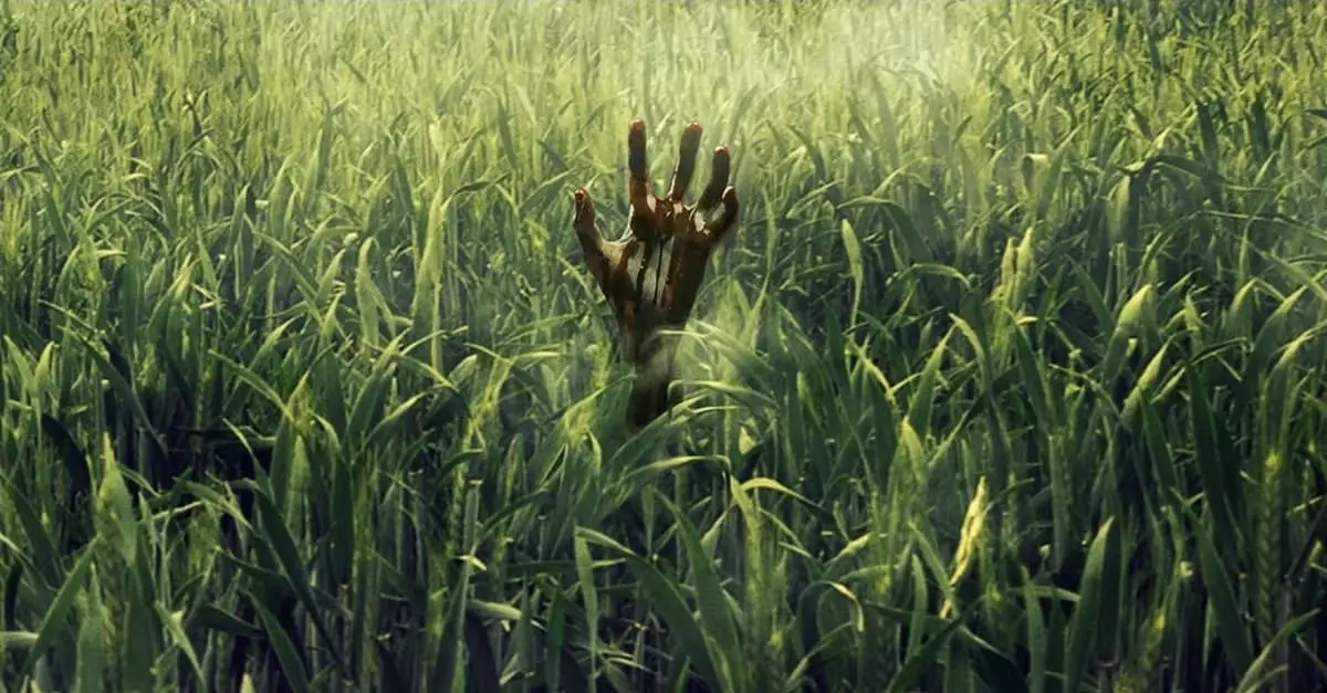 In The Tall Grass is based on a short story by Stephen King and his son Joe Hill.