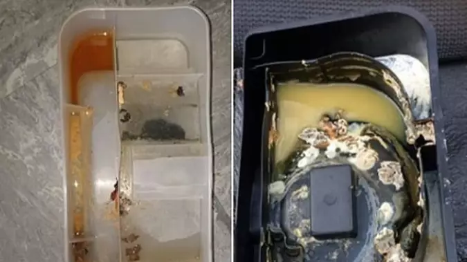 Woman's Mouldy Discovery Alerts People To The Existence Of Fridge Drip Trays