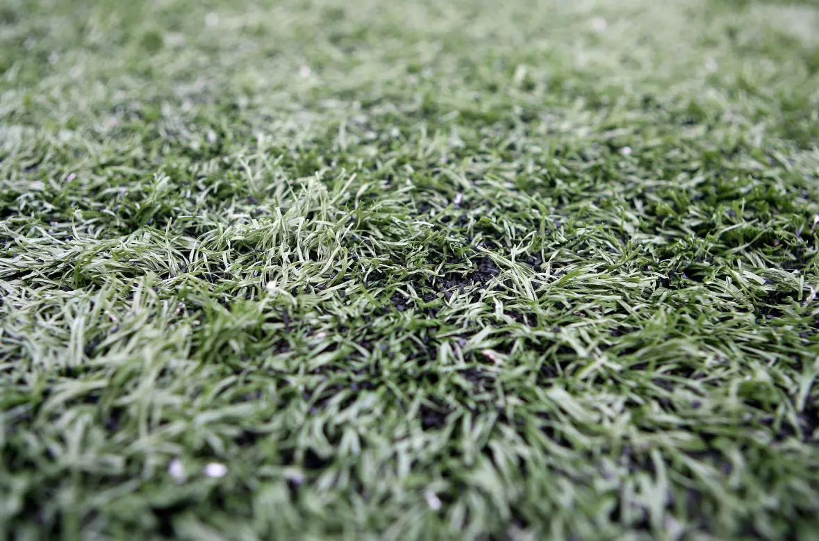 Stock image of artificial grass.