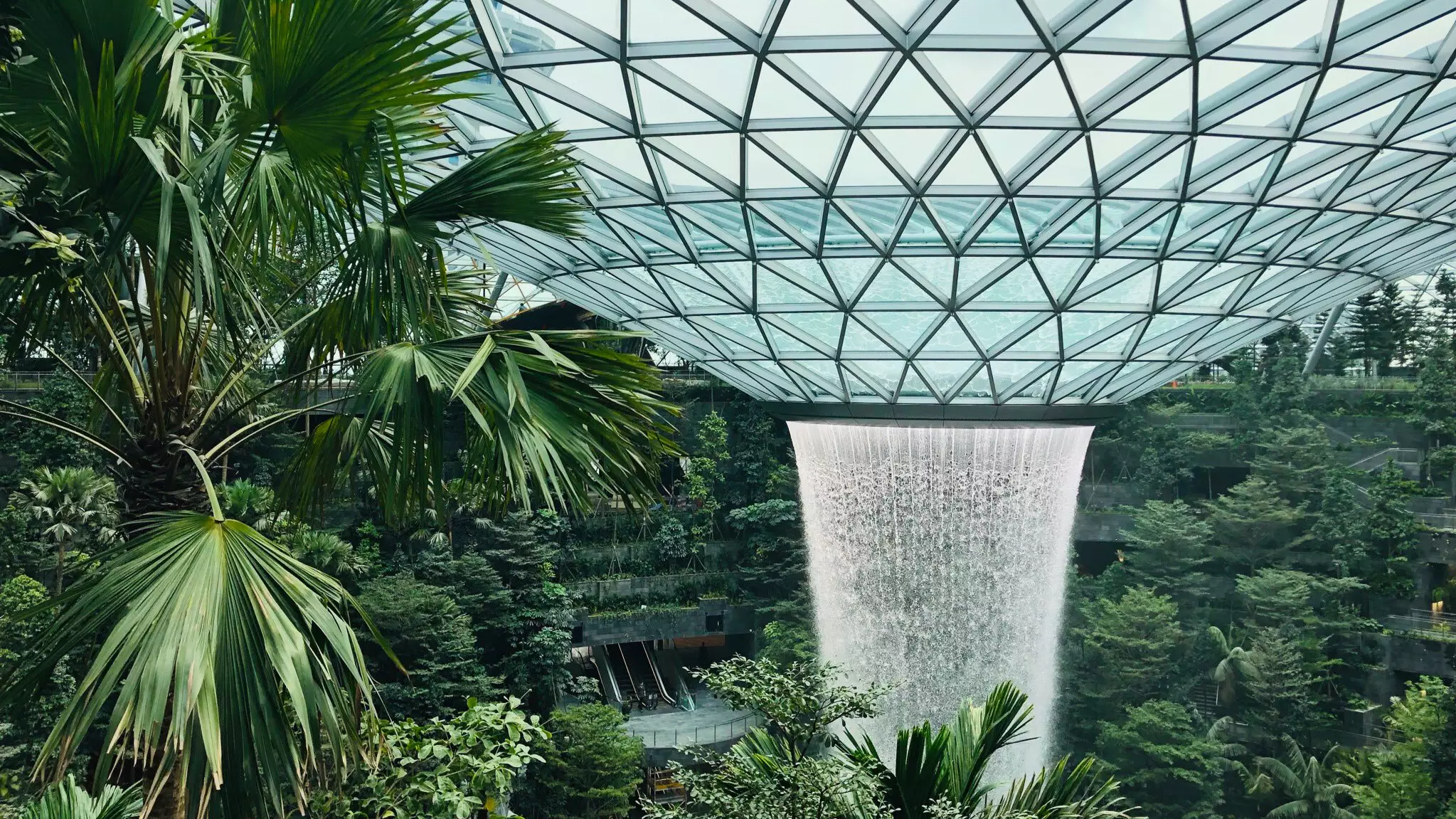 The World's Best Airport Is Revealed And It's Got An Indoor Rainforest 