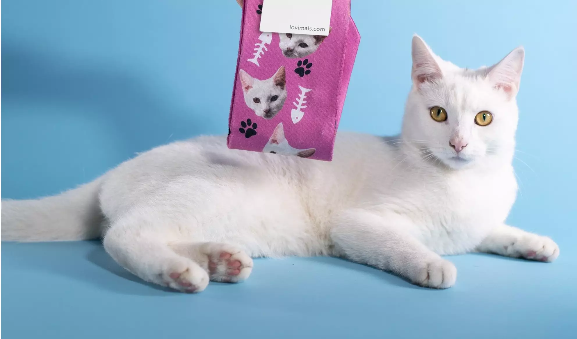 You can now immortalise your pet in sock form (