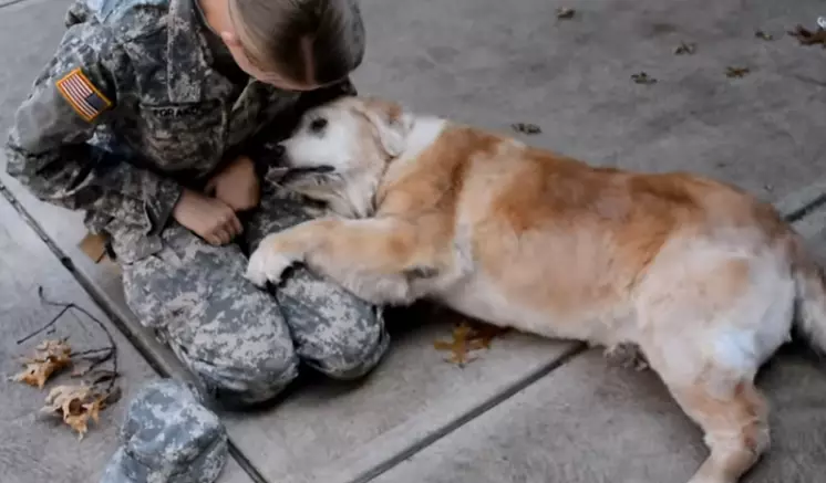 Elderly Dog Can't Contain Her Emotions As Soldier Owner Comes Home