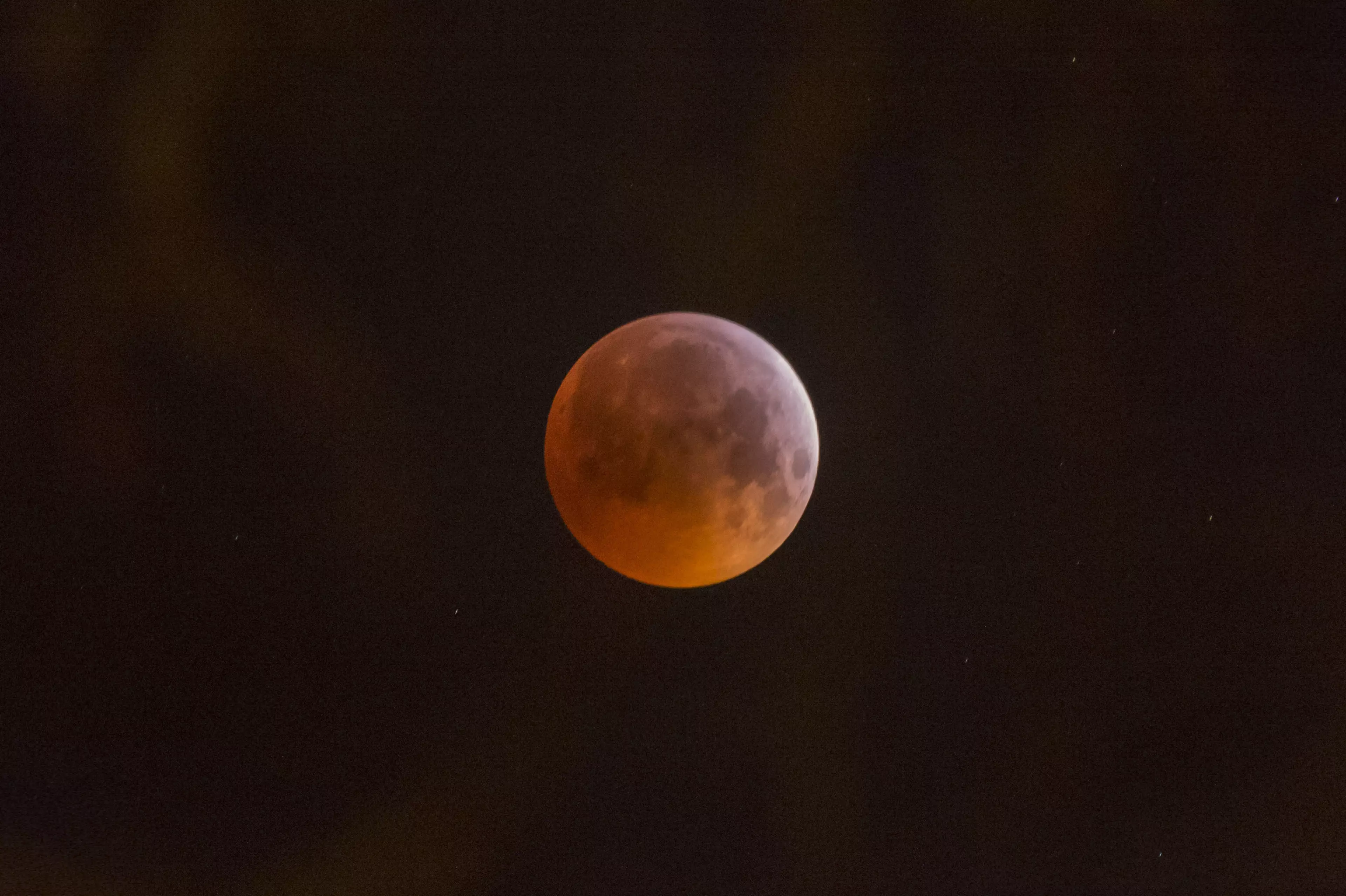 Remember the 'super blood wolf moon?'