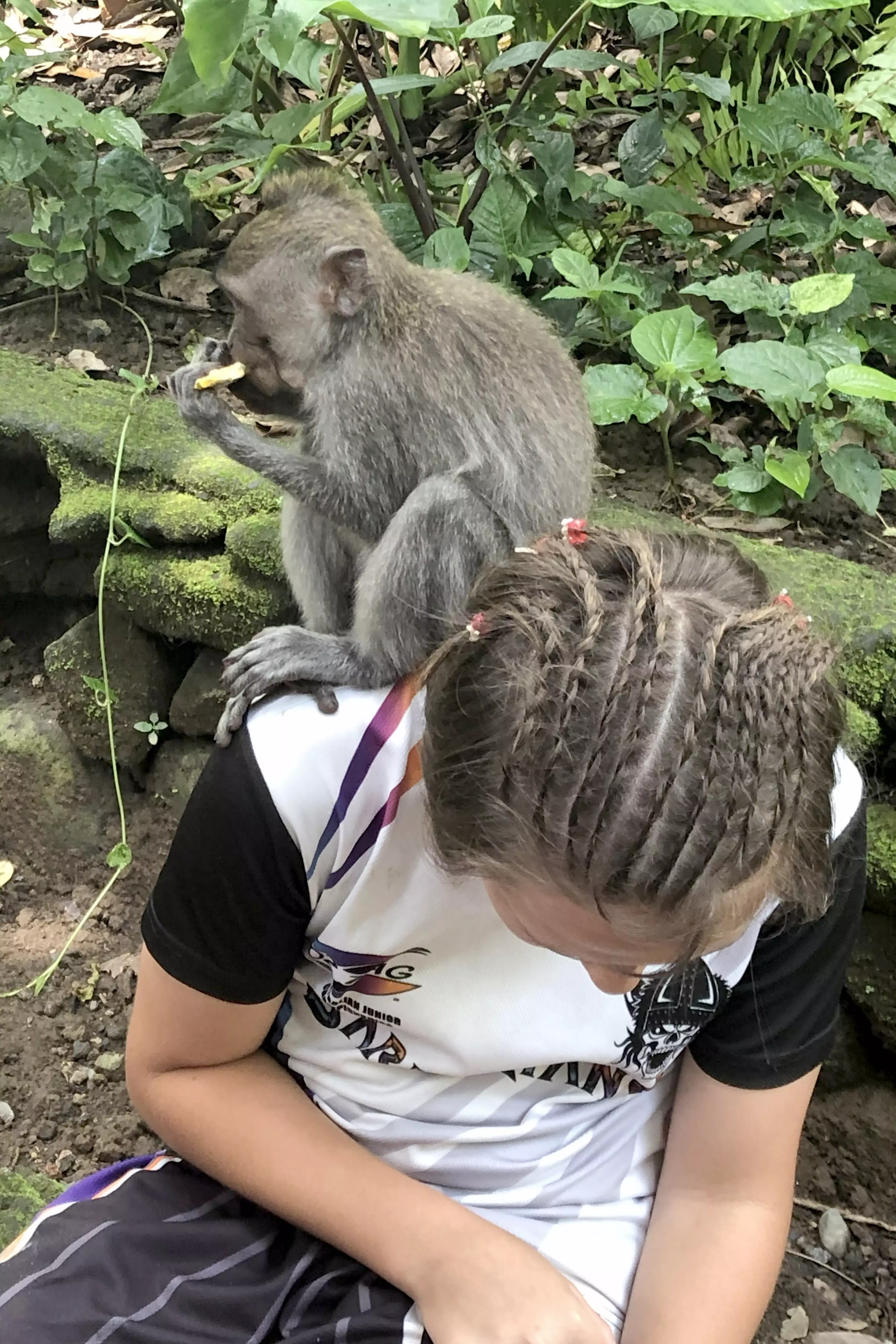 One of the monkeys sitting on Elijah's head.