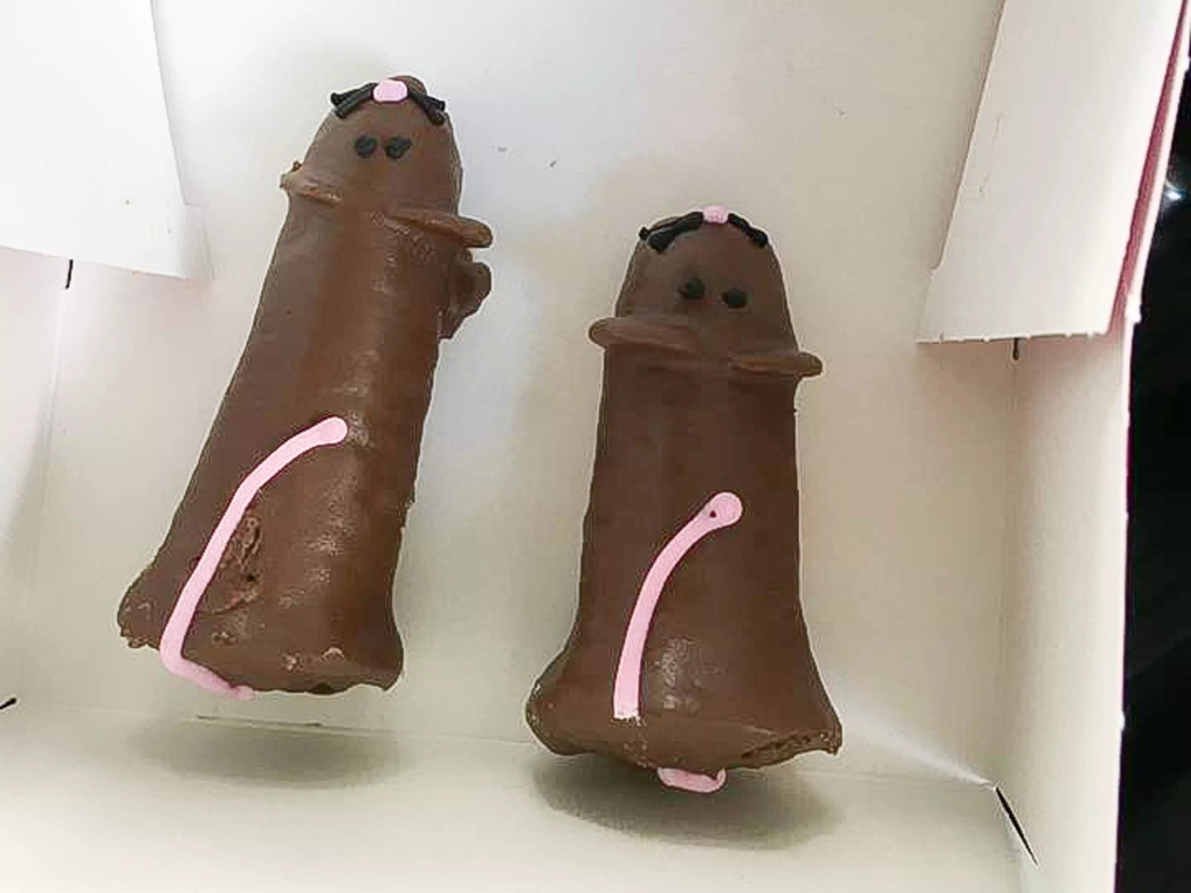 Mother Buys Chocolate Truffle Mice Which Look Like Cocks For Her Kids 