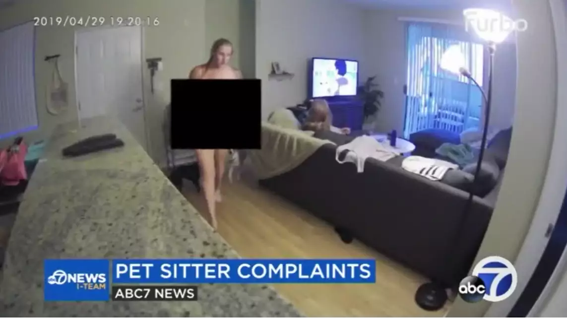 Dog-Sitter Caught On Camera Stripping Off And 'Taking Man Into Bedroom'