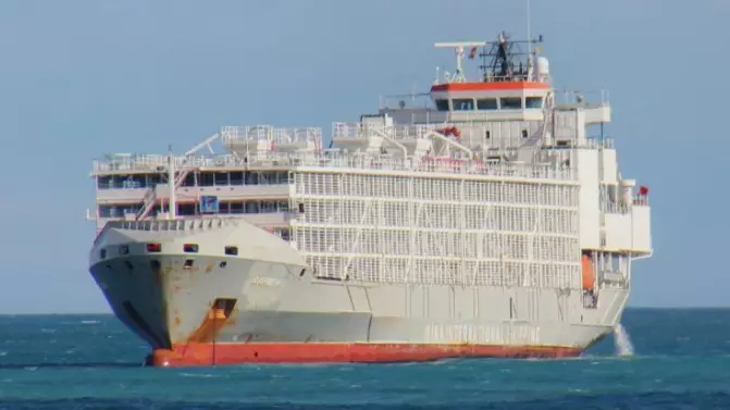 Aussies Help Raise $50,000 To Resume Search For Missing Live Export Ship