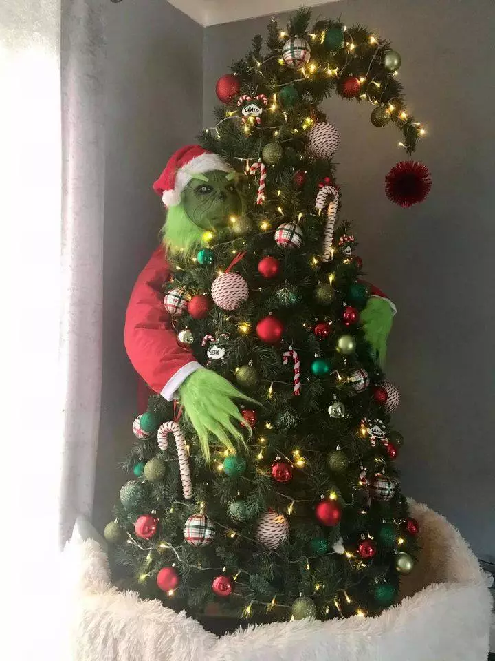 Laura's Grinch themed Christmas tree is very impressive (