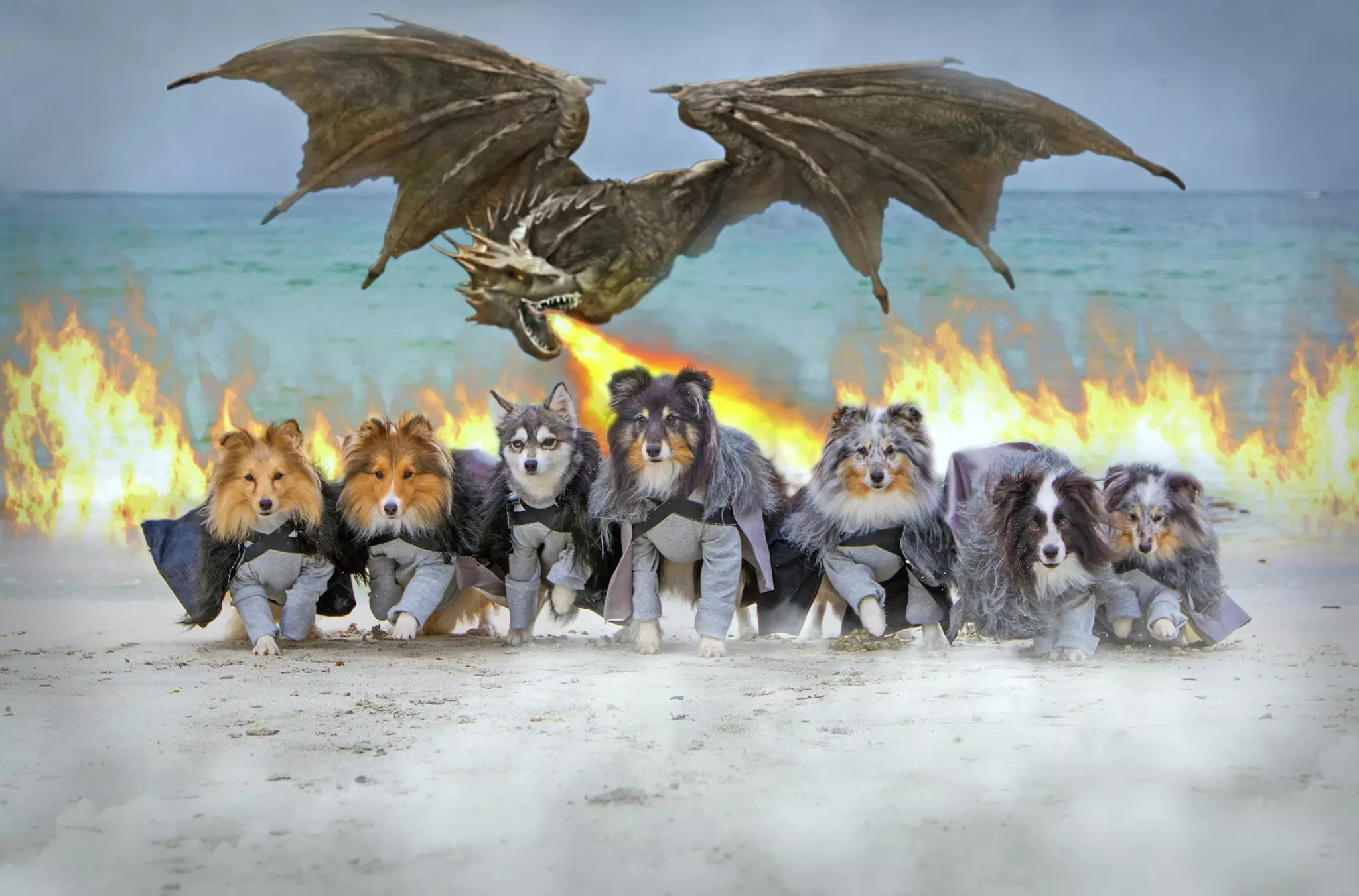 Kaylee photoshopped a dragon into this Game of Thrones image (