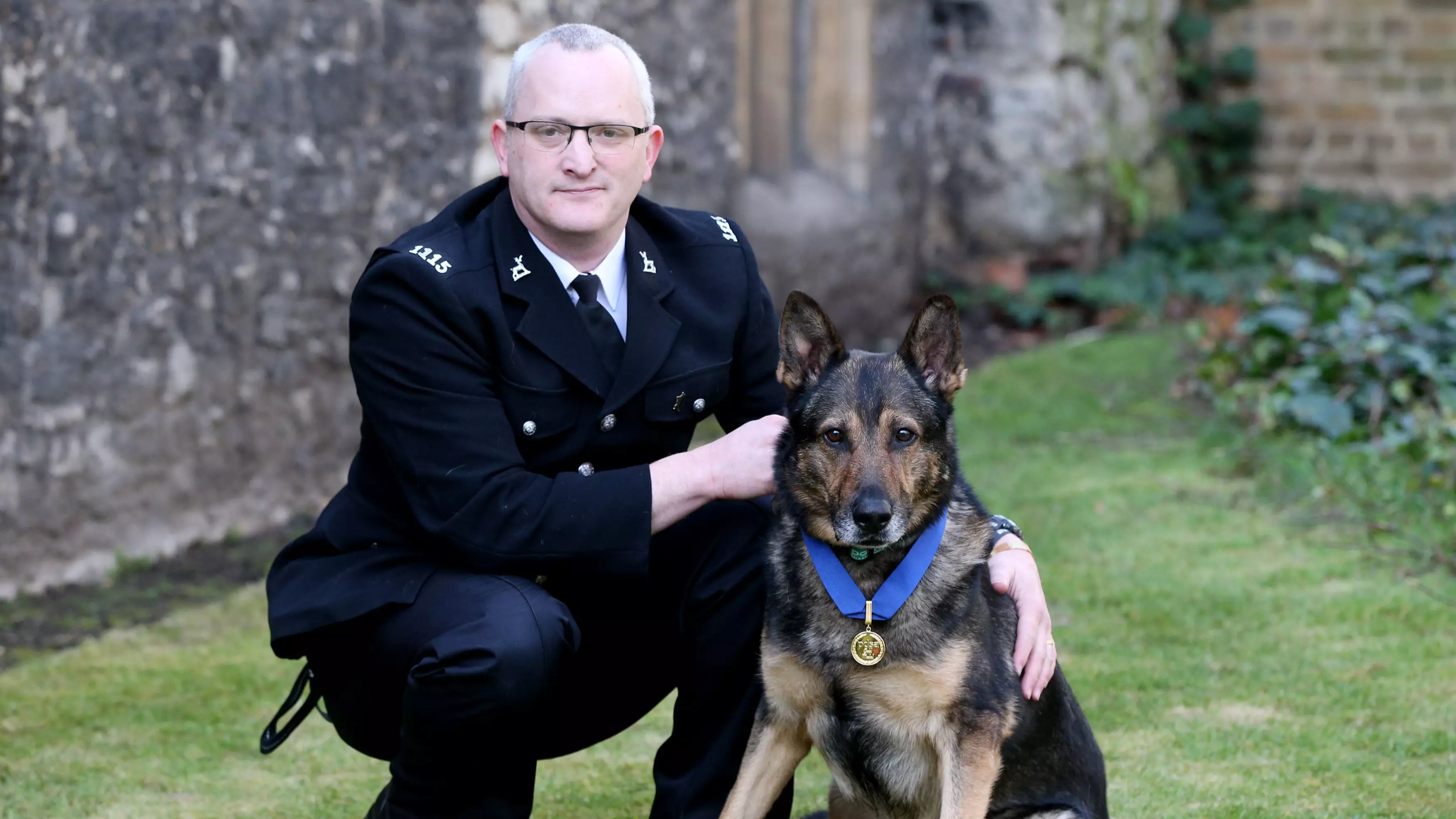 Police Dogs And Horses To Be Protected By Law From Saturday After Officer's Campaign
