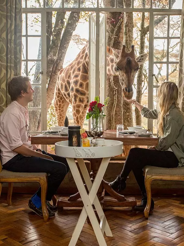 You could be eating your breakfast alongside the giraffes (