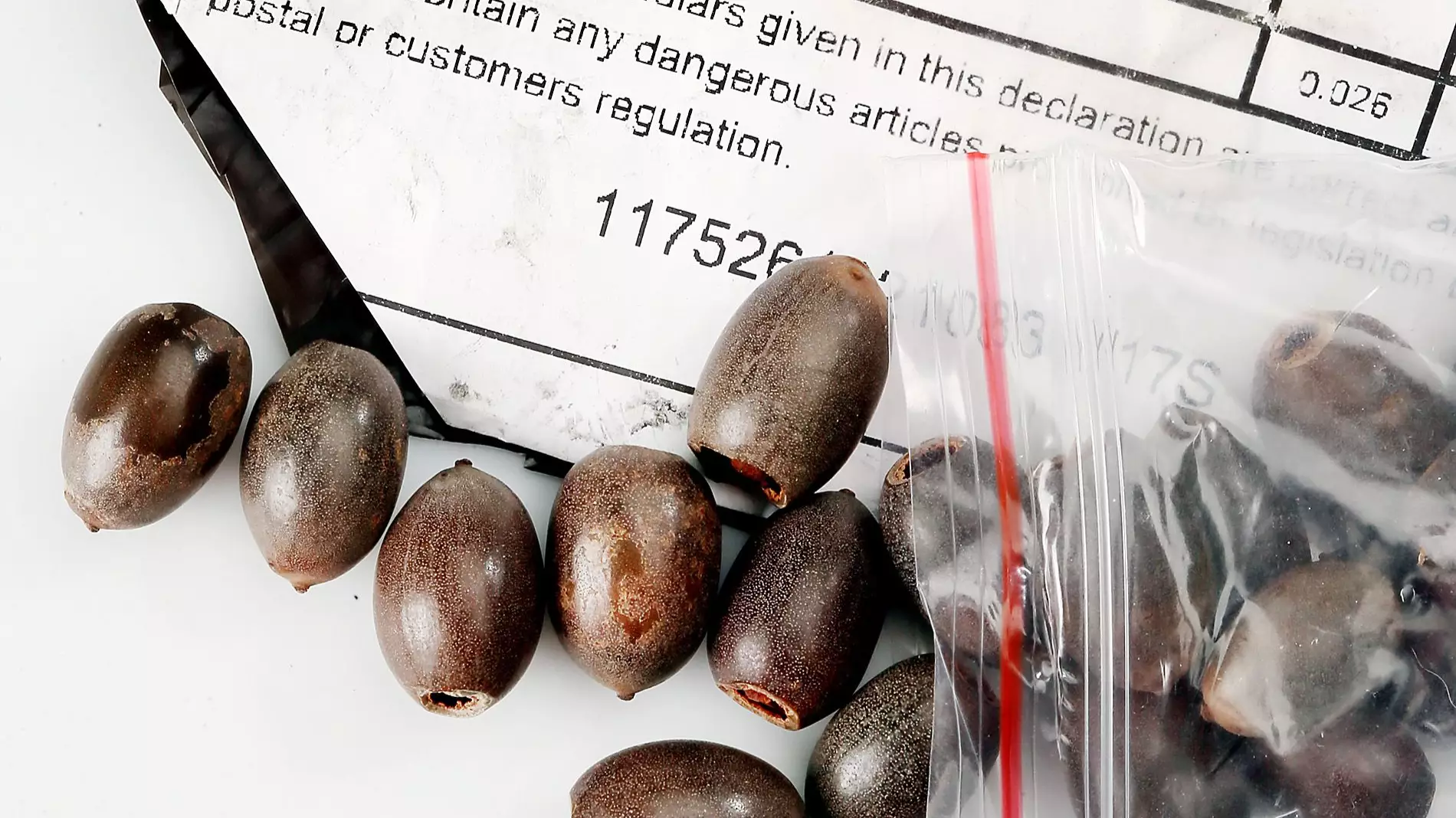 People Keep Receiving Mystery Packets Of Seeds In The Post From China