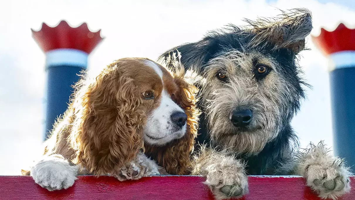 Fancy watching the live-action remake of The Lady and the Tramp?