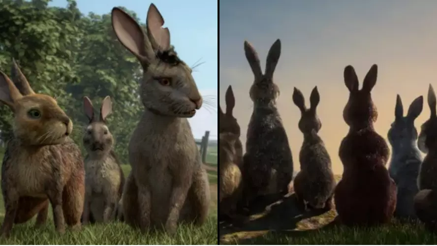 The New Watership Down Remake Is On TV Tonight, Are You Ready For it?