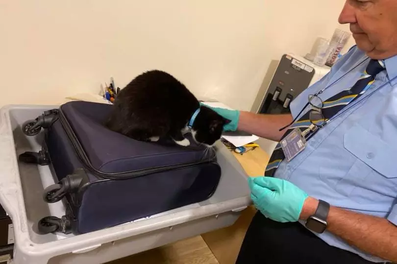The cat was found in the hand luggage suitcase which wasn't too full.
