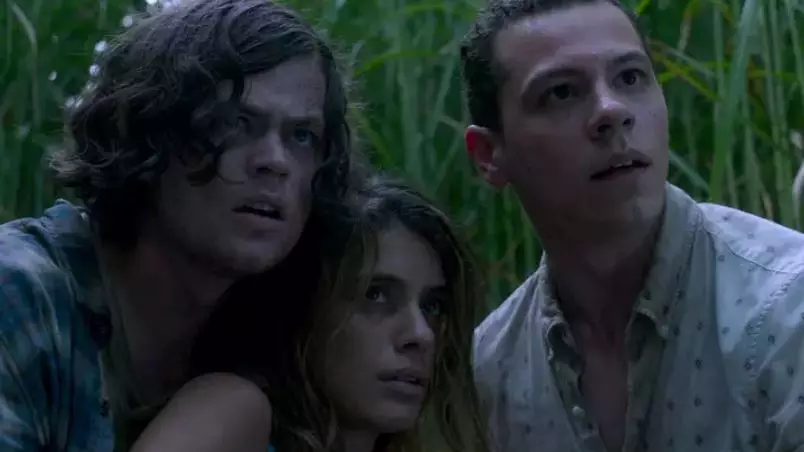 Netflix's New Stephen King Horror In The Tall Grass Is Dividing Opinion