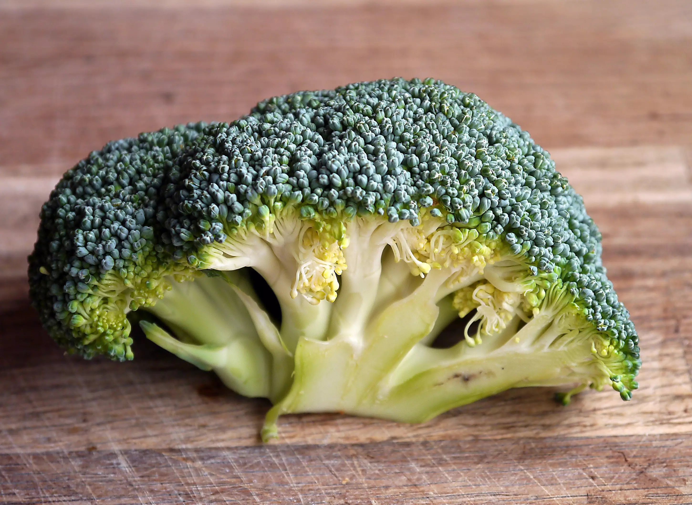 People with the gene are likely to find broccoli, brussels sprouts and cabbage unpleasantly bitter. (