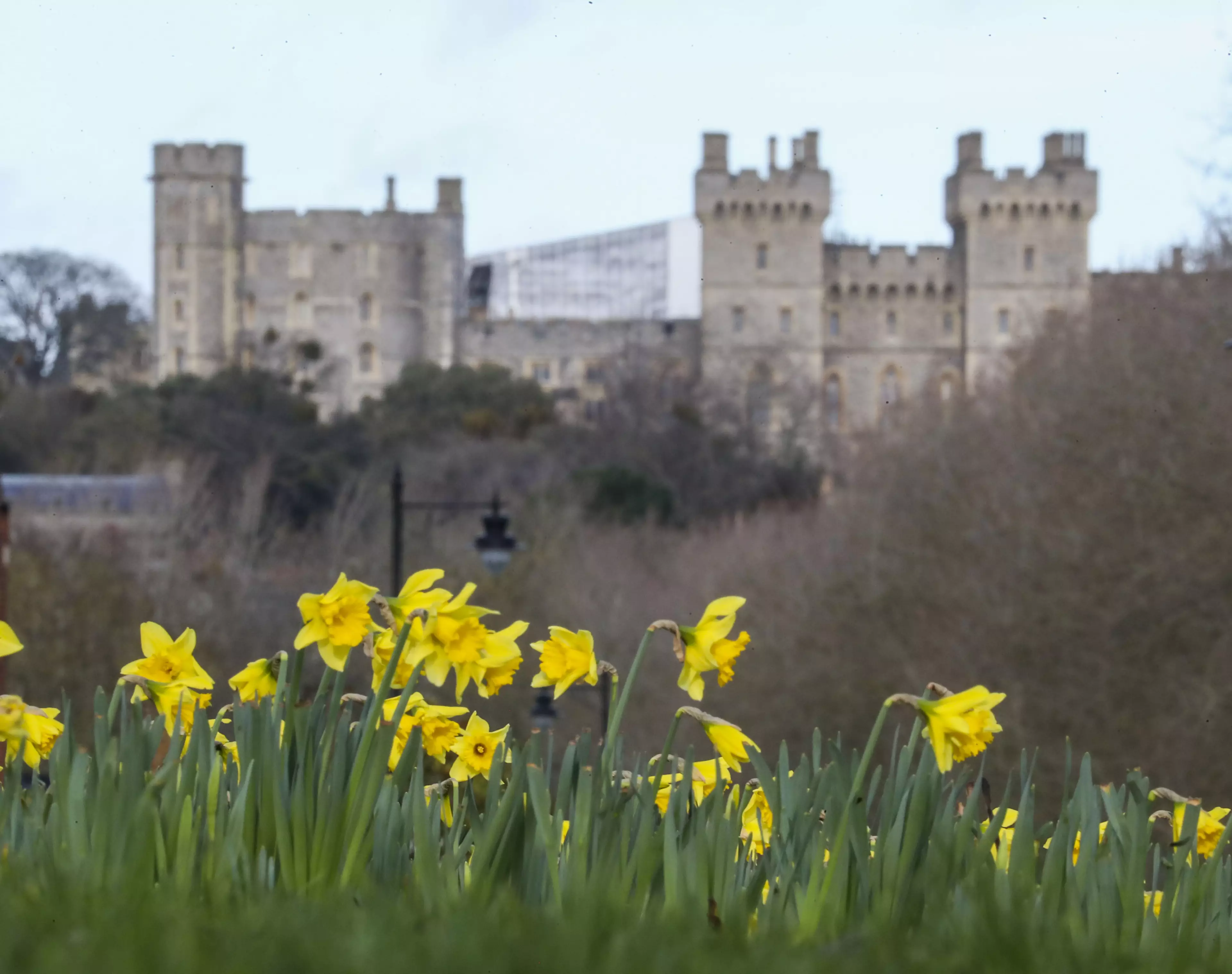 Could Windsor Castle be your new place of work?