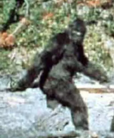 There have been numerous hoaxes of people claiming to have seen Bigfoot.