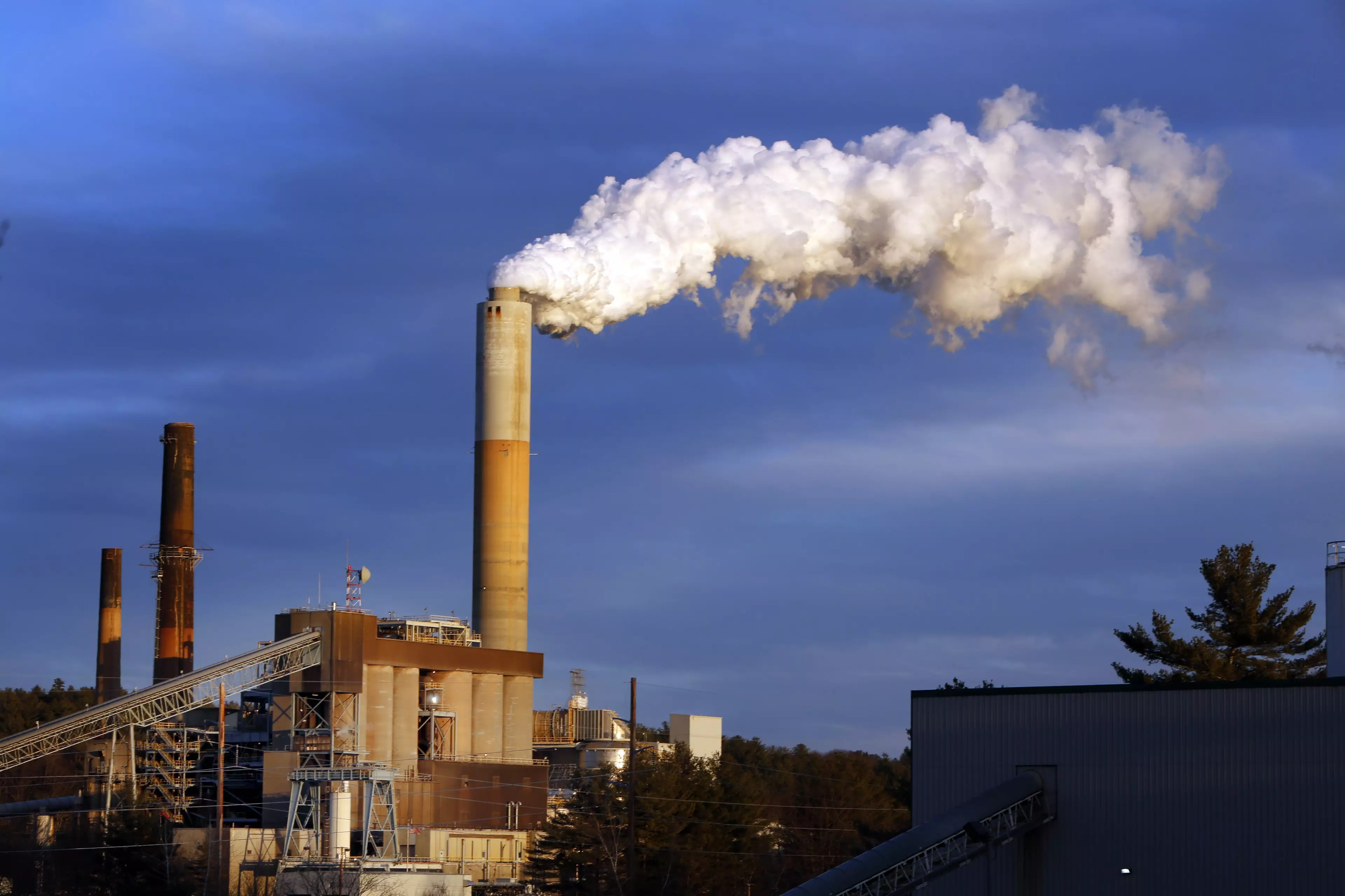 Scientists Accidentally Found A Way To Turn Carbon Dioxide Into Fuel