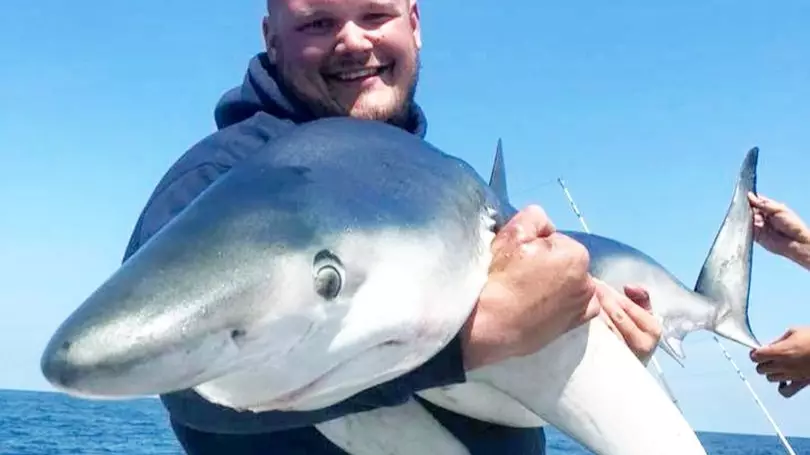 Fishermen Catch 20 Sharks Off The British Coastline In One Day 