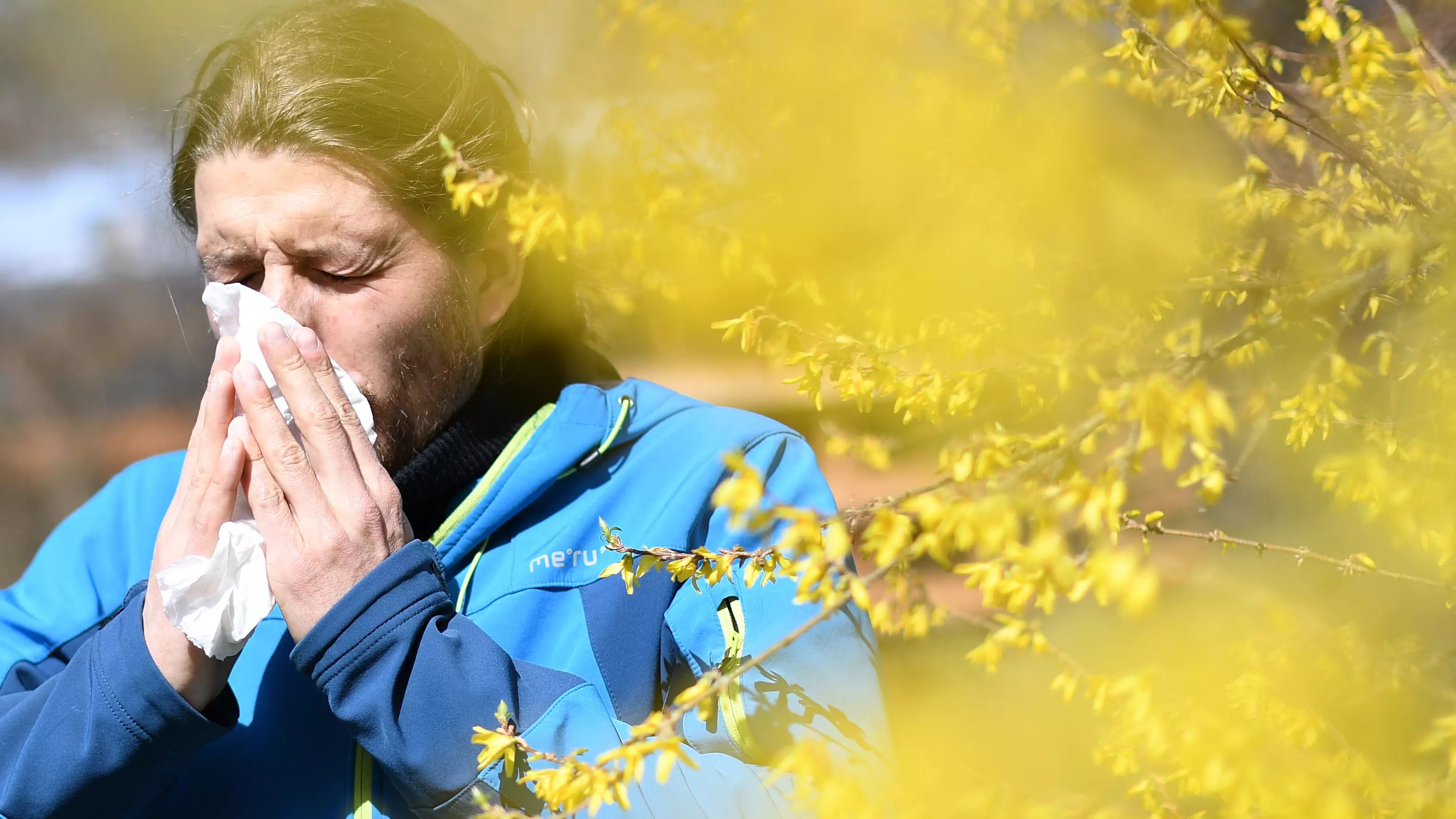 Expert Explains Why Your Hay Fever Feels Worse This Year