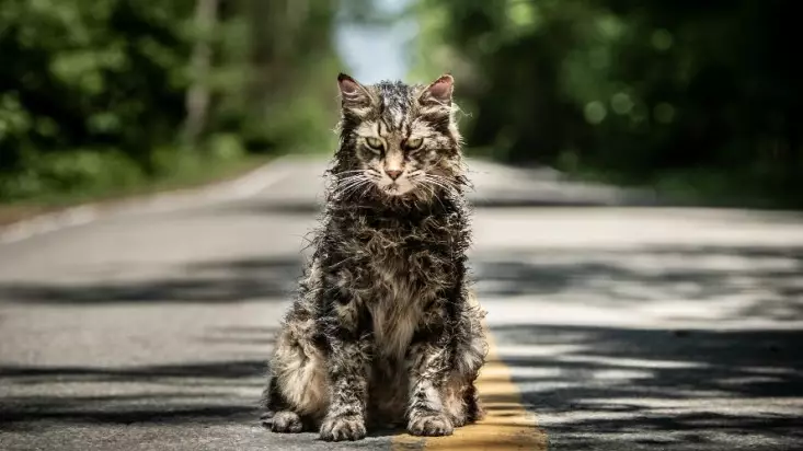 A New Trailer For Stephen King's 'Pet Sematary' Is Here And It Looks Terrifying