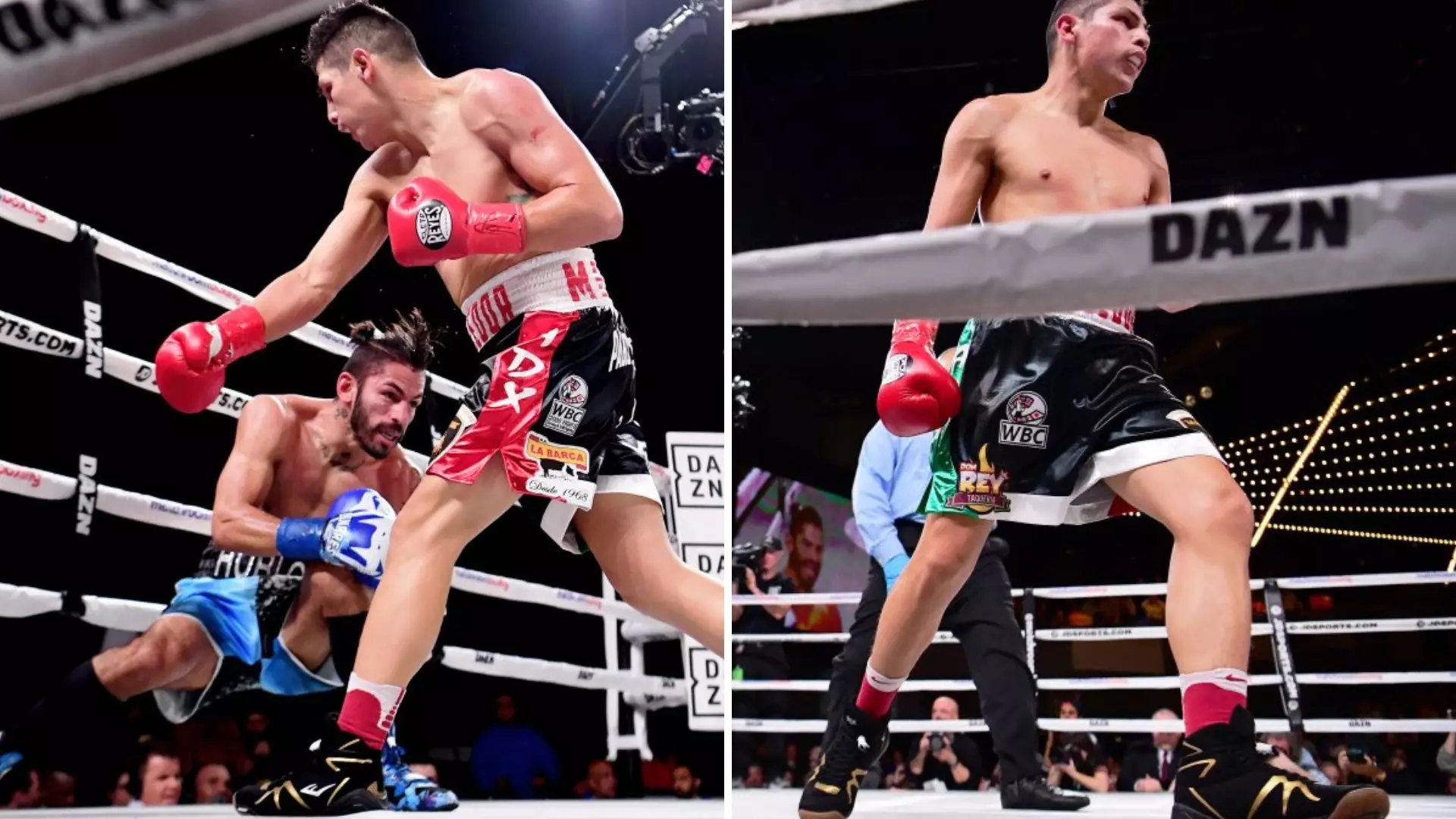 Pablo César Cano Destroys Jorge Linares In The First Round Of The Fight