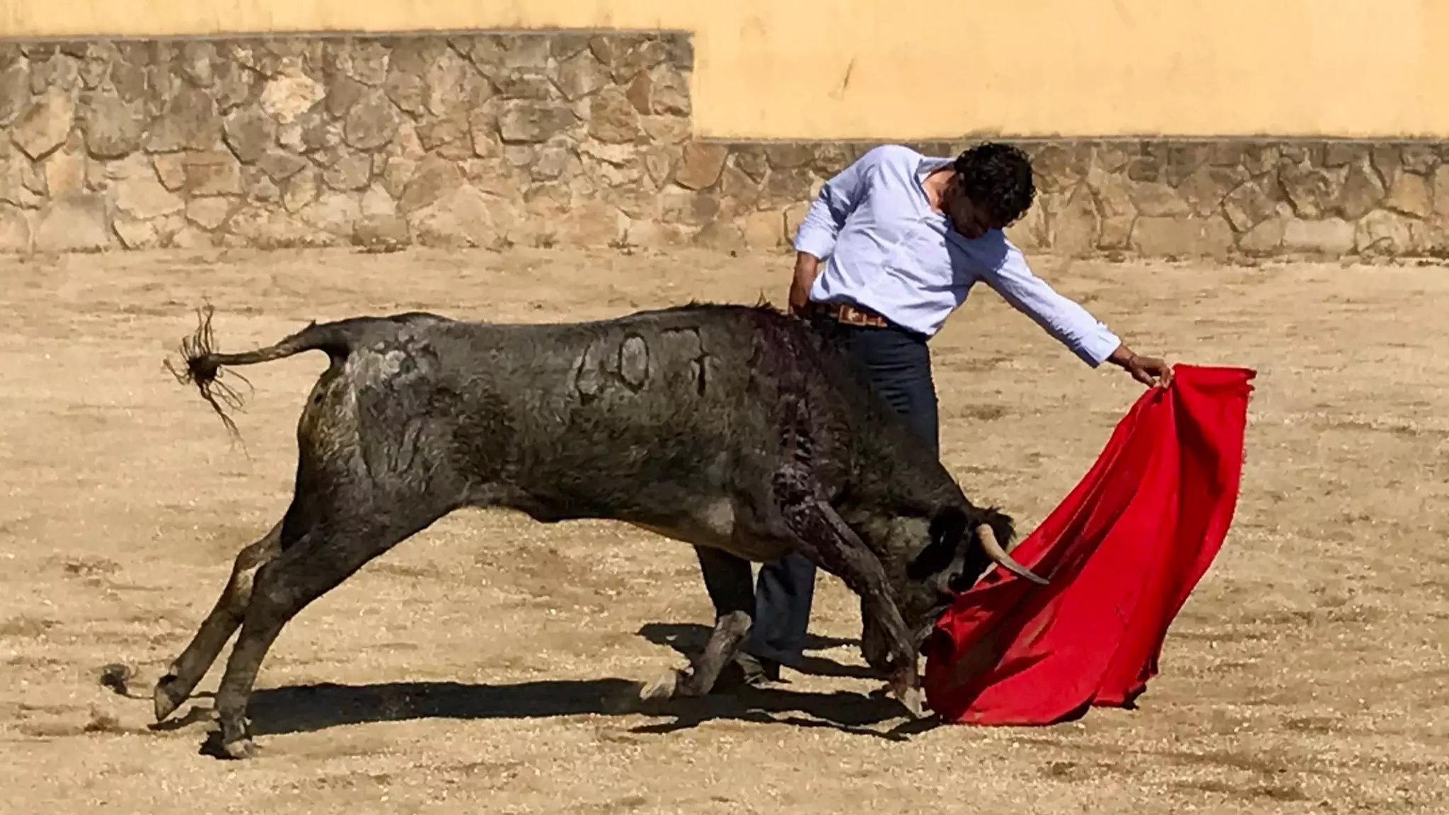 Matador Ivan Fandiño  Dies After Being Gored By Bull