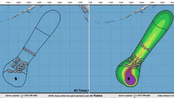 There's A Hurricane Brewing And It's Shaped Like A Massive Penis