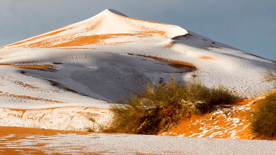 Snow Falls On Sahara Desert For The Third Time In 40 Years  