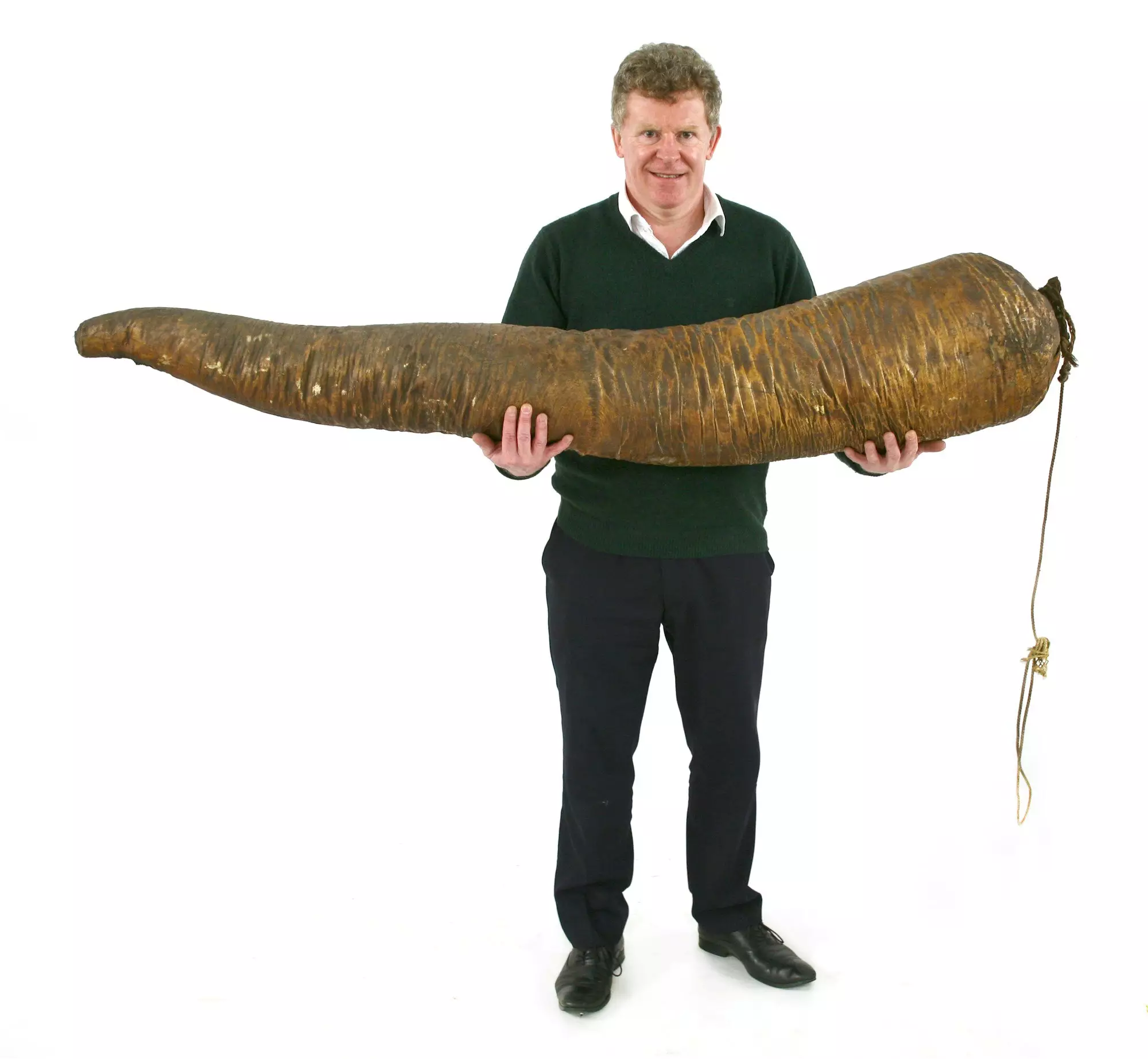 The huge sperm whale penis was snapped up by an anonymous buyer for £4,600 at auction.