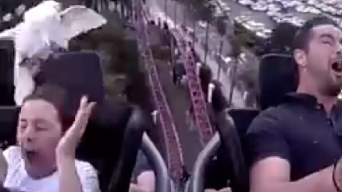 Girl Gets Hit By Flying Bin Chicken On Amusement Ride At Movie World