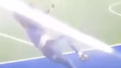 The Worst Pitch Invader Of All Time Has Been Crowned 