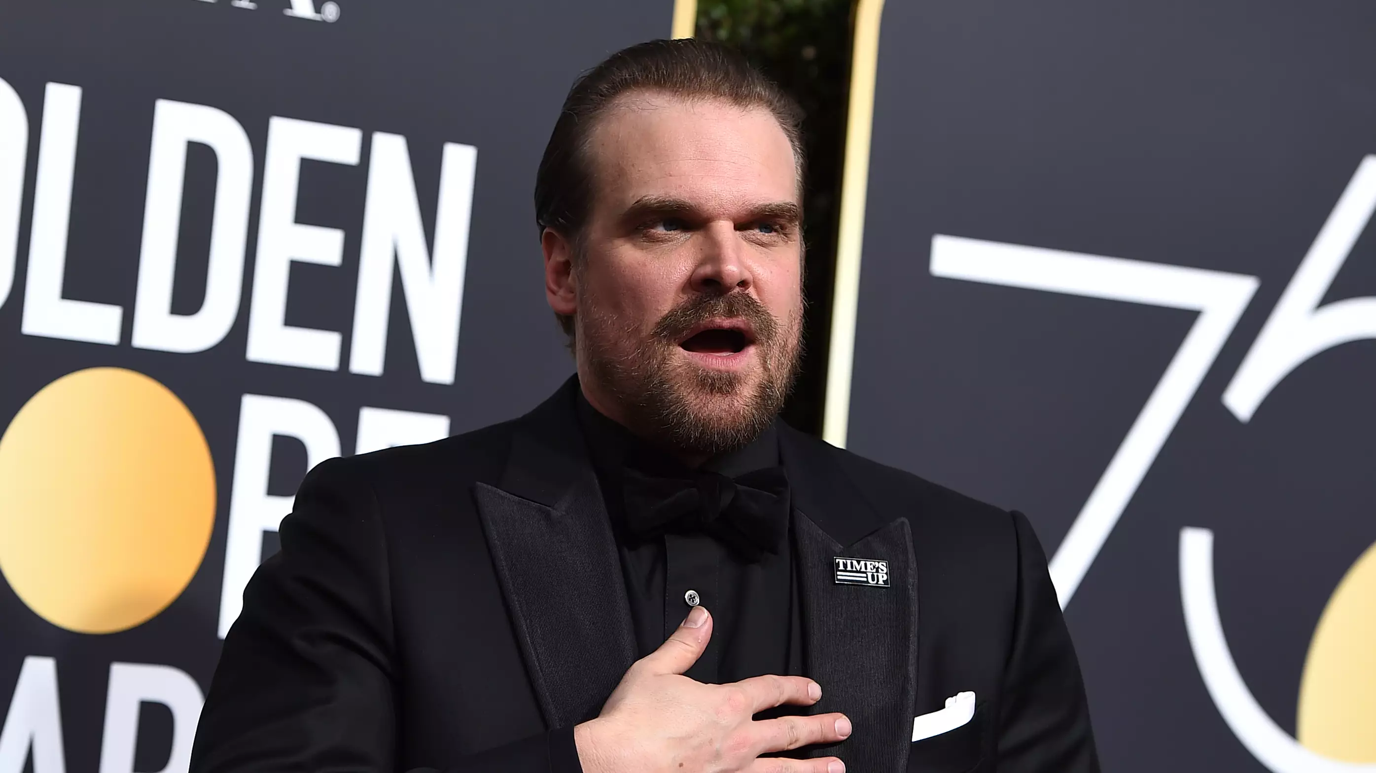 David Harbour Poses With Trombone For High School Fan's Senior Photo 
