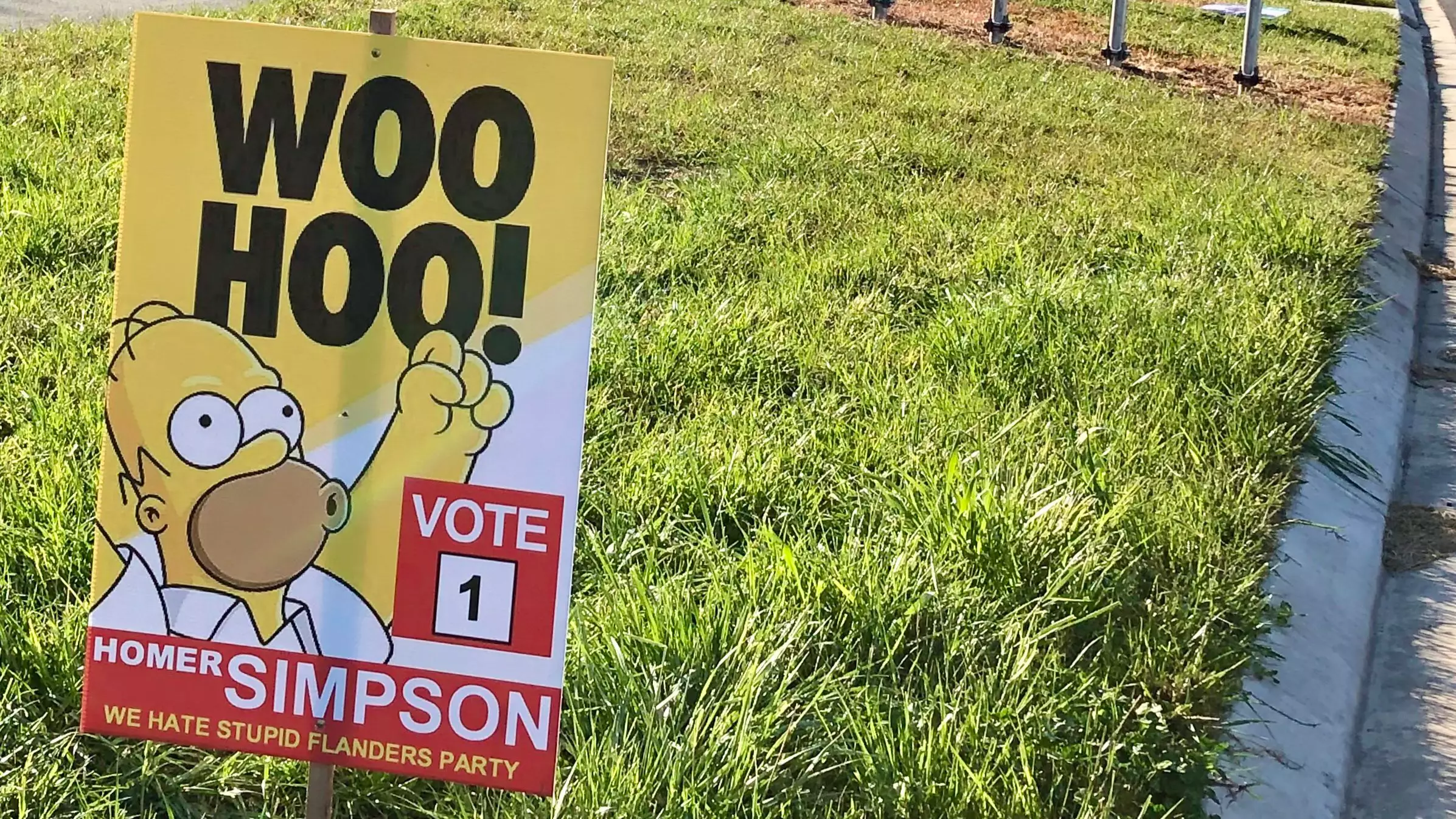 Vote For Homer Simpson Signs Are Popping Up In Canberra Ahead Of Election