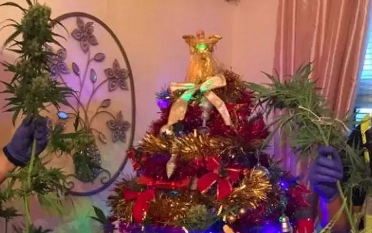 This Christmas Tree Is Different To Most Others And Here's Why