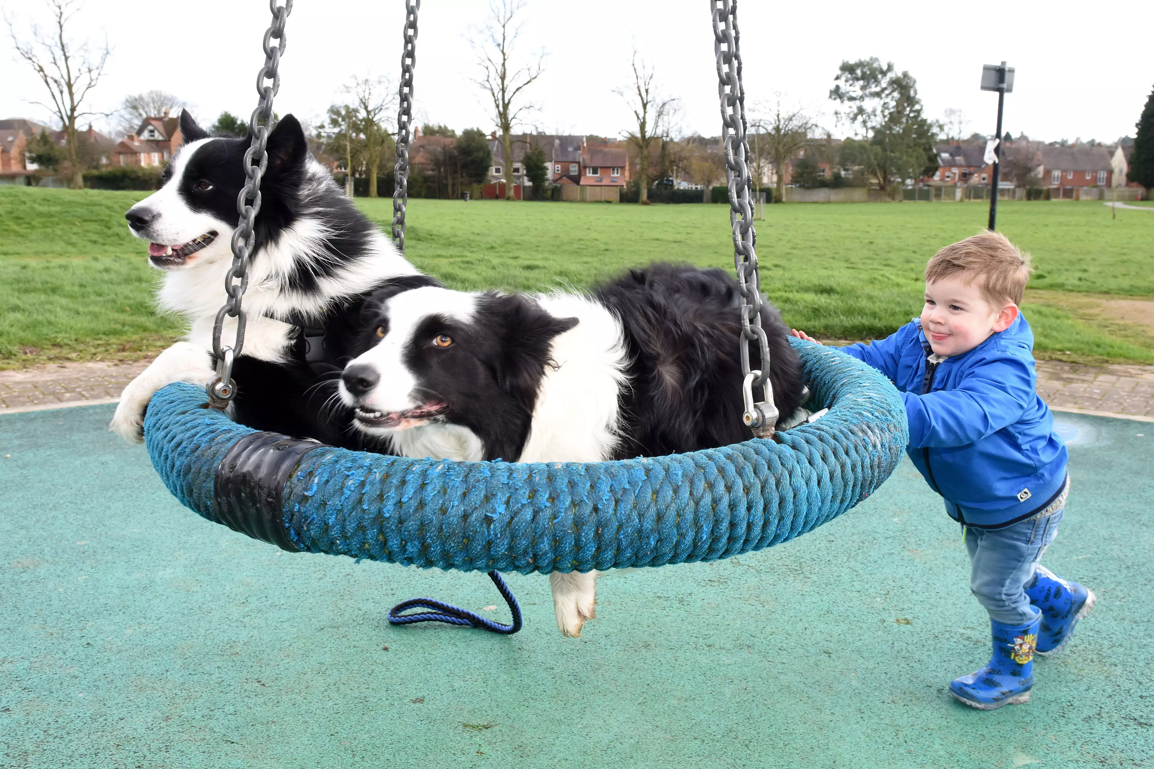 Jenson pushes Fenn and Nova on the swing in the park.