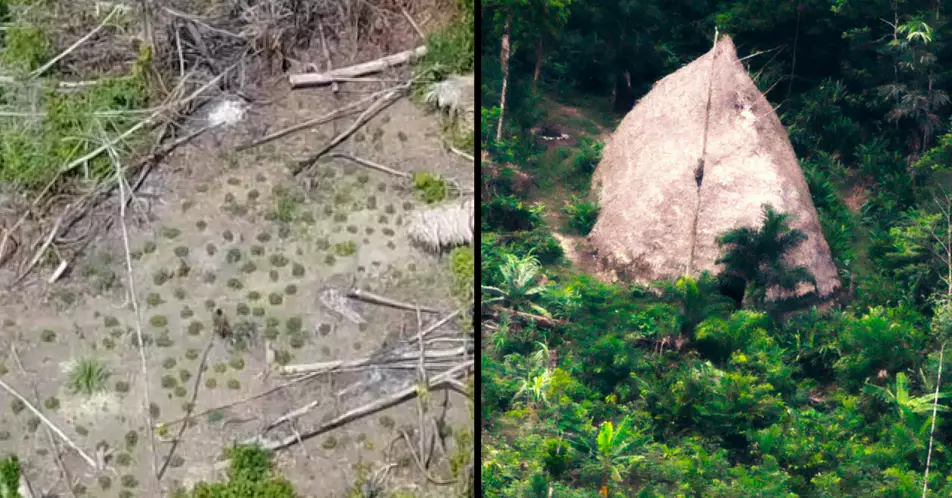 Drones Capture Incredible Footage Of Uncontacted Amazon Tribe For The First Time