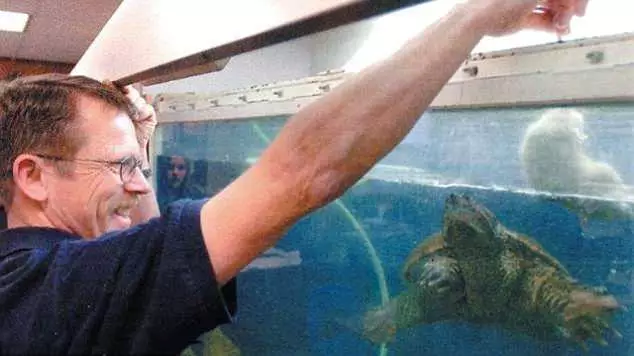 ​Teacher Who Fed Live Puppy To Turtle In Front Of Students Charged
