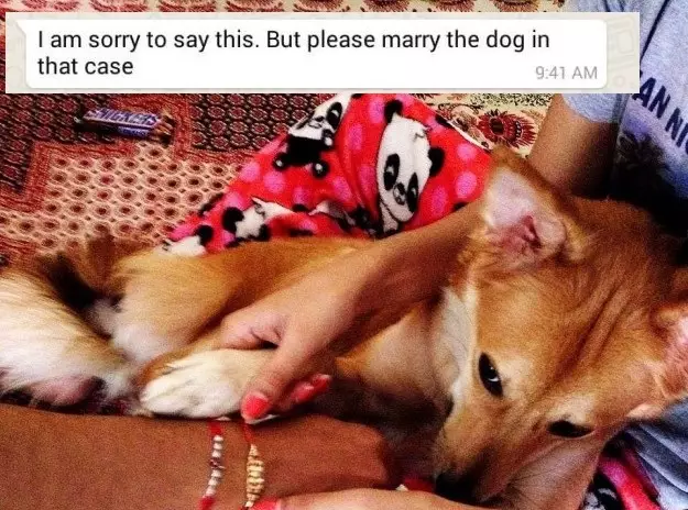 Girl Turns Down Arranged Marriage Because He Didn't Like Her Dog