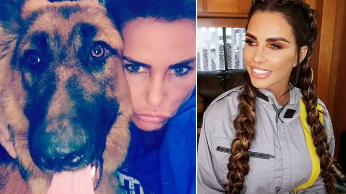 Katie Price 'Lets Dogs Poo Inside Mansion And Doesn't Clean It Up'