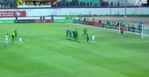 WATCH: Riyad Mahrez Scores Stunning Free-Kick For Algeria