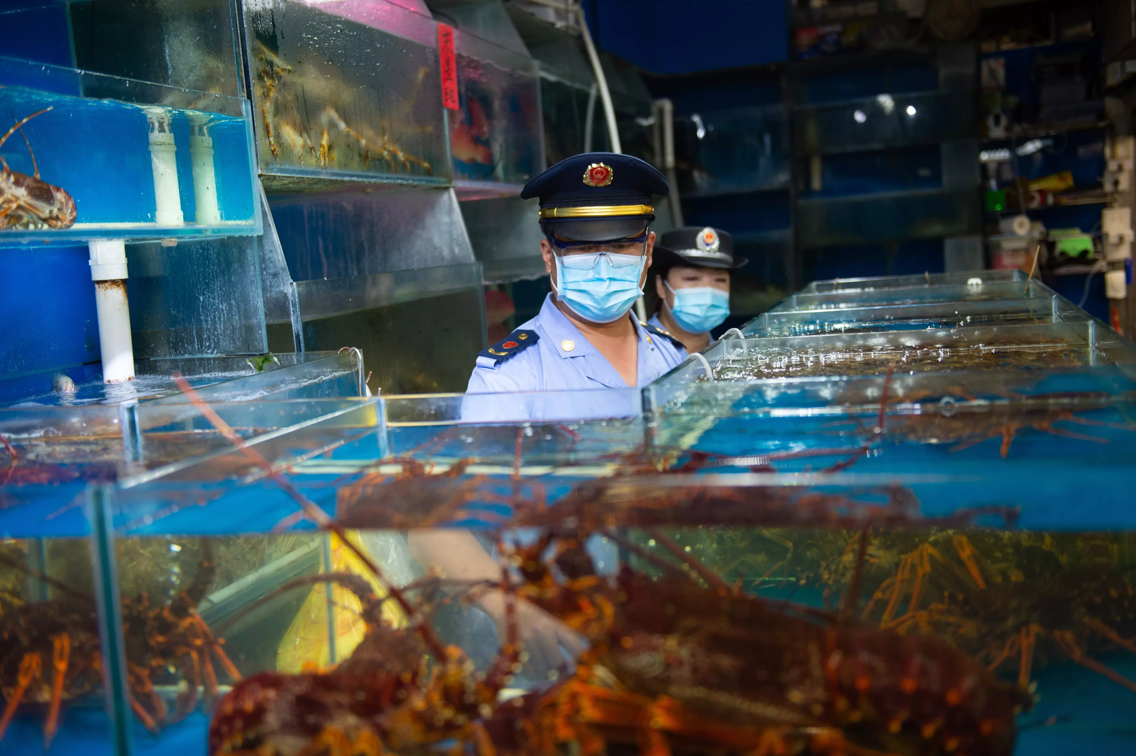 Staff from the market supervision administration of Fengtai District inspect the sea food trading hall of the Yuegezhuang wholesale market in Beijing.