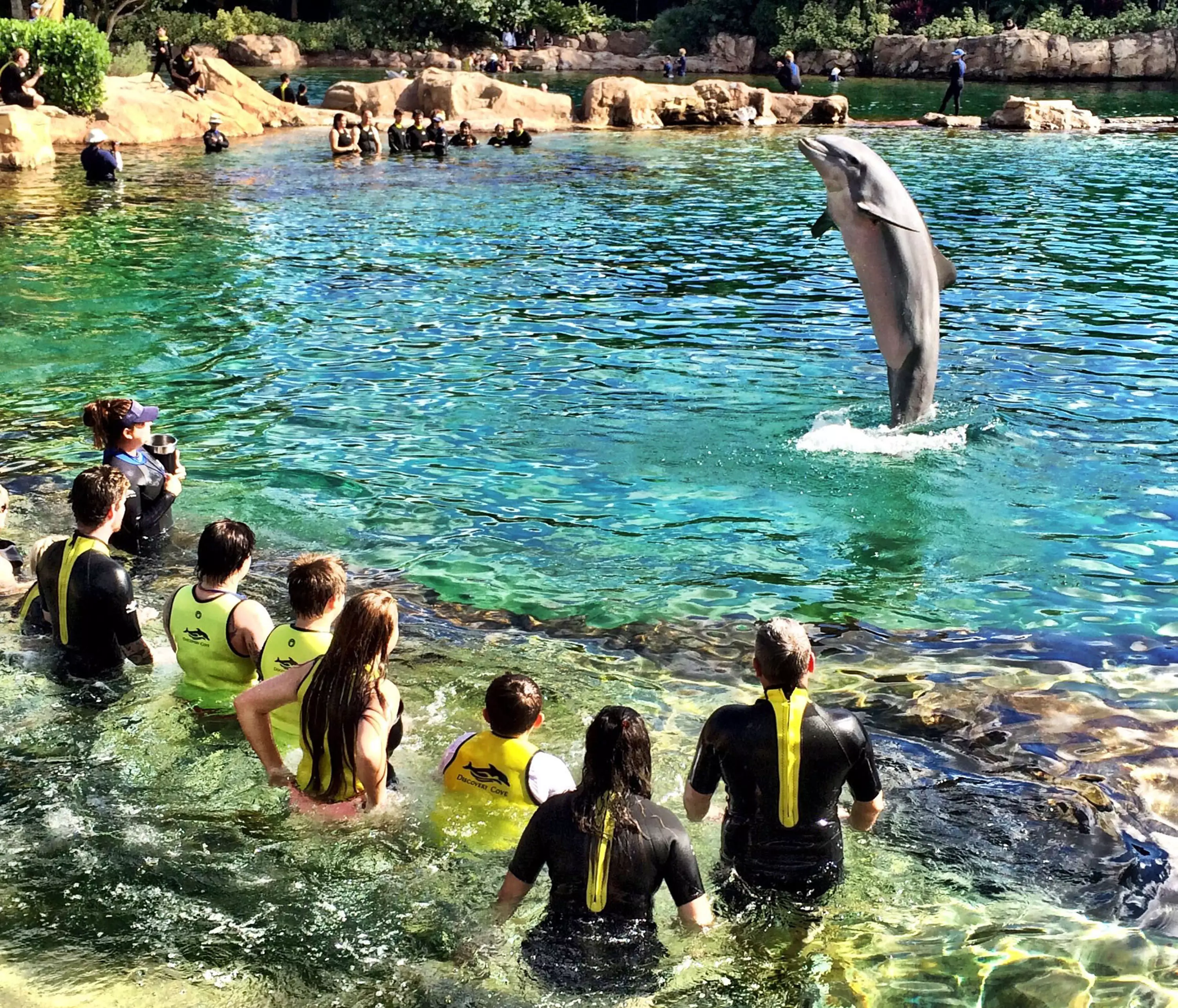 Animal rights campaigners want all captive sea mammal shows ended.
