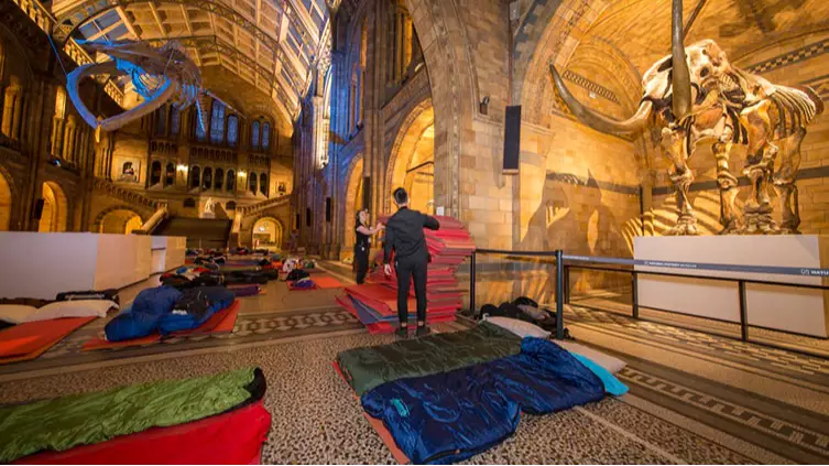 You Can Have A Sleepover At The Natural History Museum 