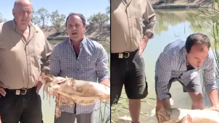 Politician Violently Vomits While Trying To Raise Awareness About Dying Fish